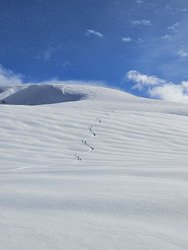 Pas de d&eacute;sillusion &agrave; Saint Fran&ccedil;ois Longchamp