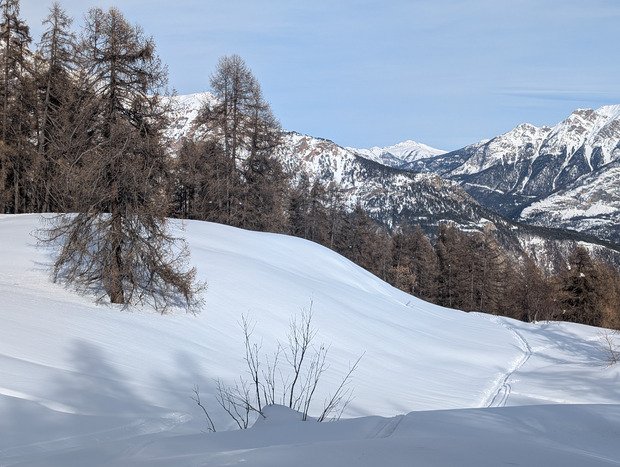 Y a pas que le ski alpin sous le soleil.