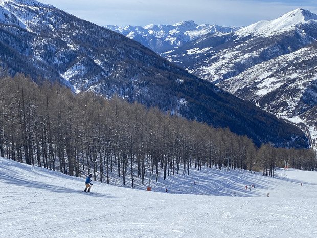 Poudreuse froide en Nord, Bronzage & Carving en sud 