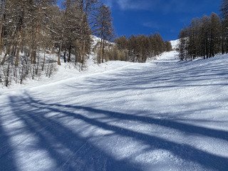 Poudreuse froide en Nord, Bronzage & Carving en sud 