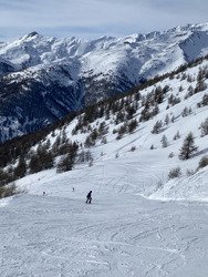 Poudreuse froide en Nord, Bronzage & Carving en sud 