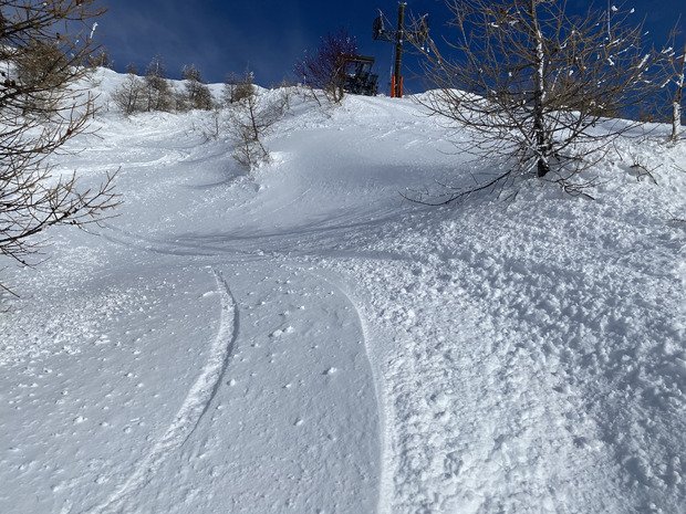 Poudreuse froide en Nord, Bronzage & Carving en sud 