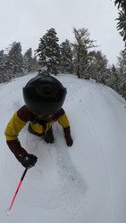 It&rsquo;s oppeeennn