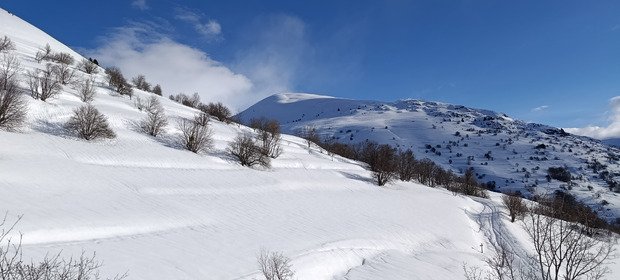 P&egrave;lerinage aux grandes Buffles
