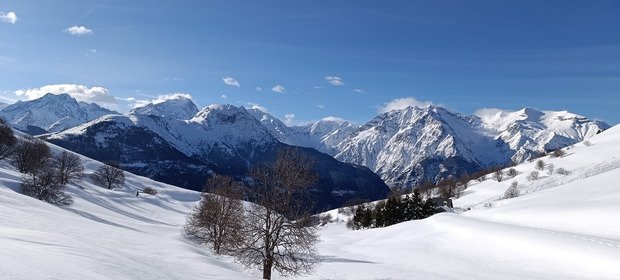 P&egrave;lerinage aux grandes Buffles