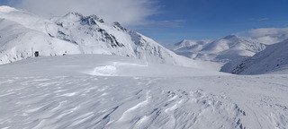 P&egrave;lerinage aux grandes Buffles