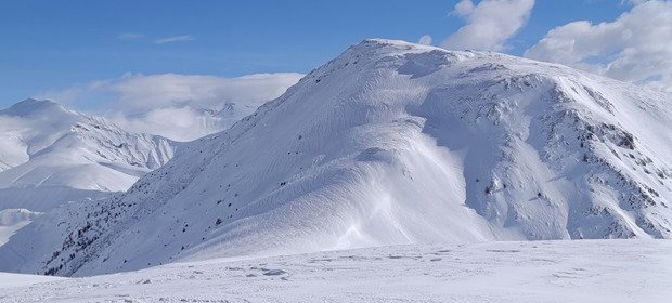 P&egrave;lerinage aux grandes Buffles