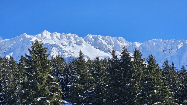 On regarde tout &ccedil;a de loin