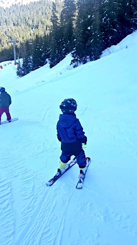 On regarde tout &ccedil;a de loin