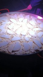 Winter Board'hell est de retour !