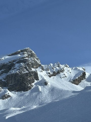 De l&rsquo;hiver au printemps 