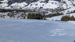 C est le printemps  !! ☹️