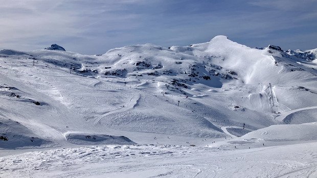 C&rsquo;est le printemps!