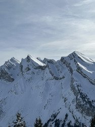 La tribu fait du ski 😂