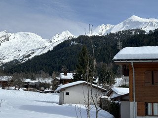 La tribu fait du ski 😂