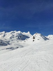 Homeland Overload🏔️