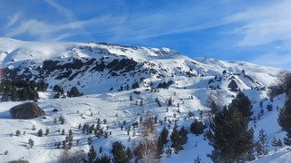 Belle d&eacute;couverte 🤩