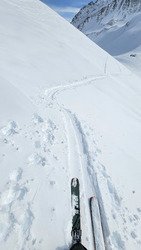 Le "pas pire" du dimanche