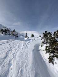 Reculet en T-shirt et en split.