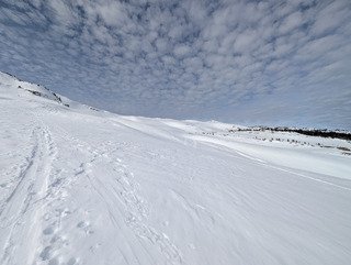 Reculet en T-shirt et en split.