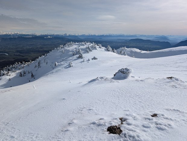 Reculet en T-shirt et en split.