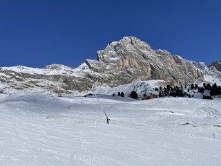 C&rsquo;est le printrmps&hellip; en F&eacute;vrier!