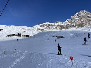 C&rsquo;est le printrmps&hellip; en F&eacute;vrier!