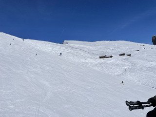 C&rsquo;est le printrmps&hellip; en F&eacute;vrier!