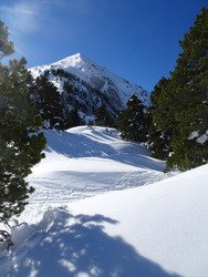 Il y a de la neige dans le Vercors