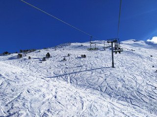 &ccedil;a sent le sapin!