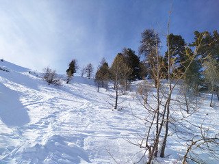 &ccedil;a sent le sapin!
