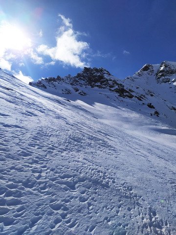 &ccedil;a sent le sapin!