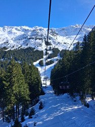 Ride de printemps...avec un ours 