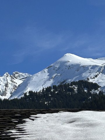 Vous pr&eacute;f&eacute;rez b&eacute;ton ou poudreuse ?😂