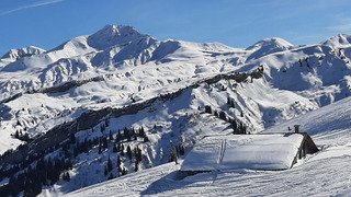 A d&eacute;guster avant la soupe !