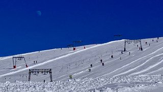 En balade sur le domaine. 