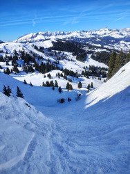 Grand beau, grand chaud, grand monde! 