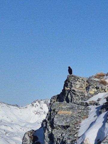 On se fait plaisir sur les pistes