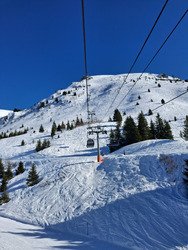 &Agrave; la recherche du si&egrave;ge parfait sous un beau ciel bleu 😁