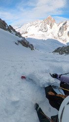 Petite Verte: Chevalier ✨