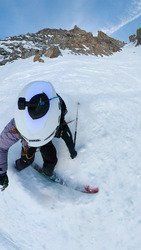 Petite Verte: Chevalier ✨