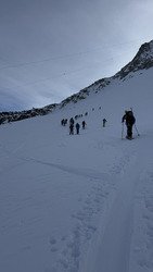 Petite Verte: Chevalier ✨