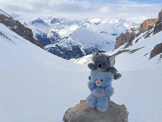 Visite aux Antennes par une combe d&eacute;serte 