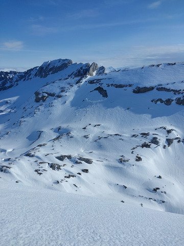 Tot c est trop tot...