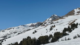 C'est le printemps non&nbsp;?