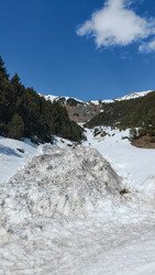 C'est le printemps non&nbsp;?