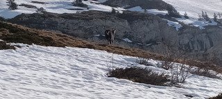 Ma premi&egrave;re Dent... &agrave; 45 ans ! 🤔😜