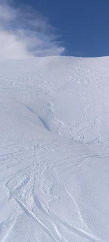 Moquette &agrave; poils longs au Grand Galbert 