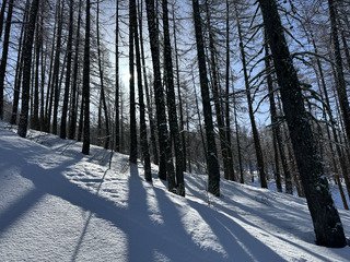 J1 : &eacute;tat des lieux