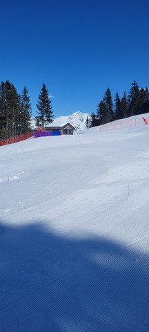 Zone C = gros veinards 